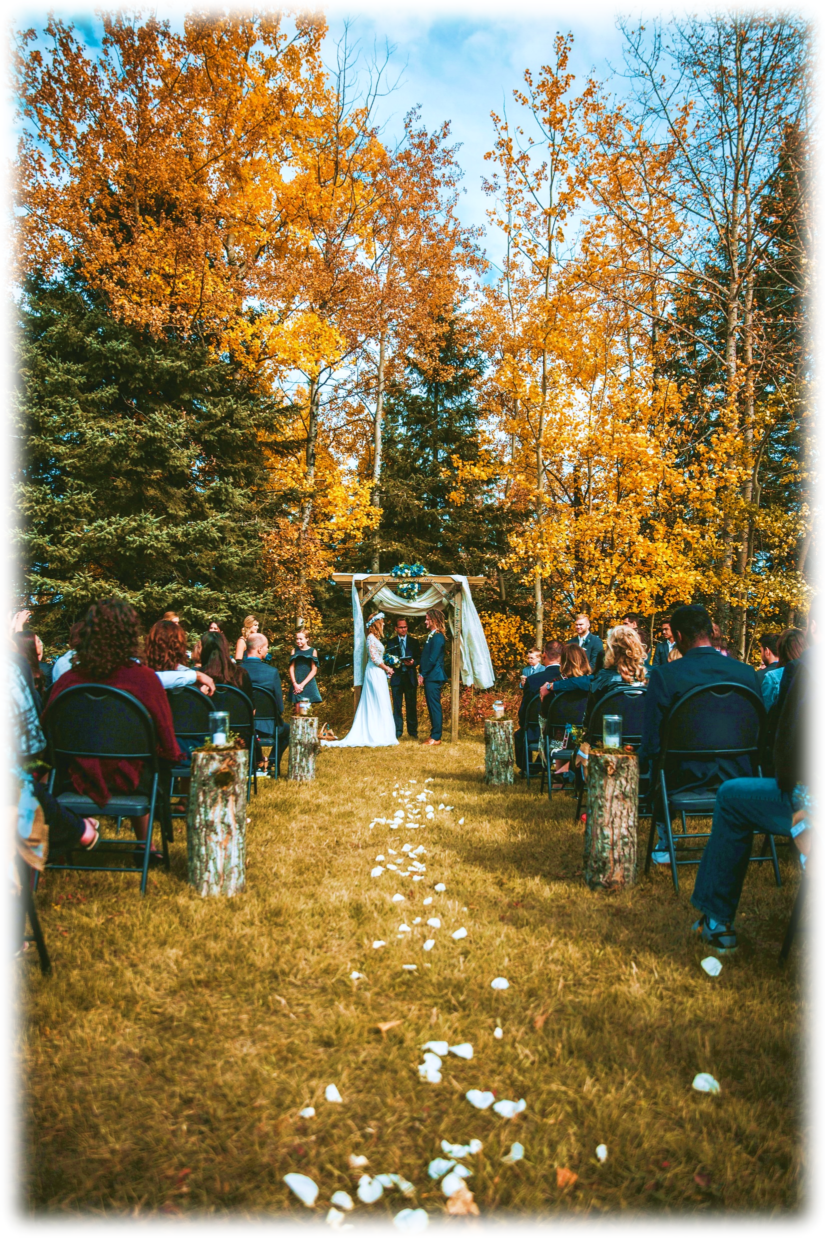 Wedding in the forest